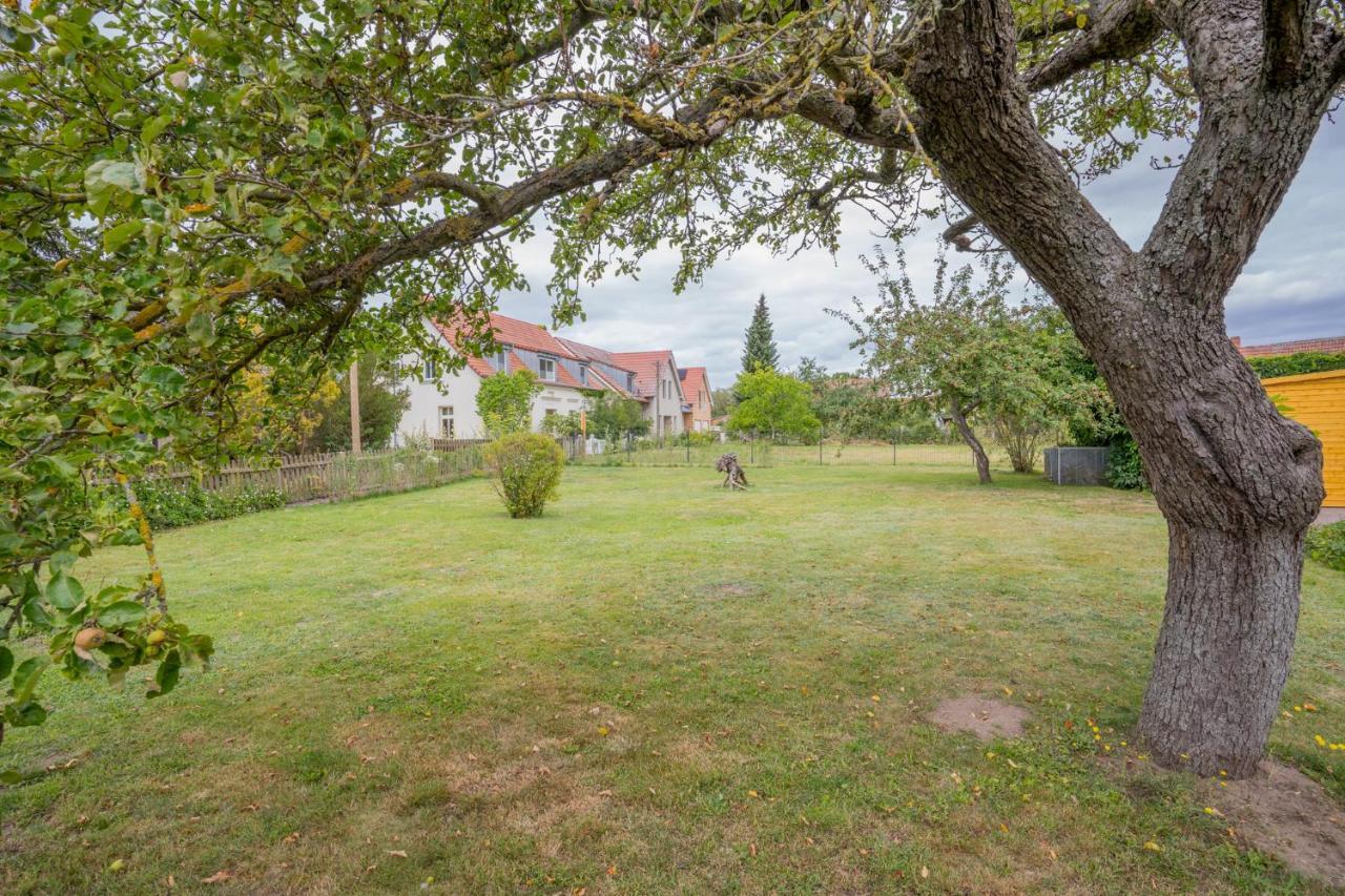 Ferienhaus "Seeadler" In Rankwitz Am Peenestrom Eksteriør billede