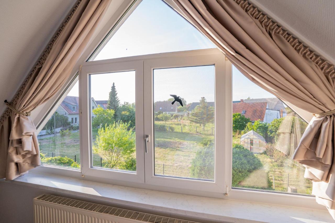 Ferienhaus "Seeadler" In Rankwitz Am Peenestrom Eksteriør billede