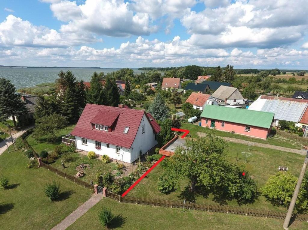 Ferienhaus "Seeadler" In Rankwitz Am Peenestrom Eksteriør billede