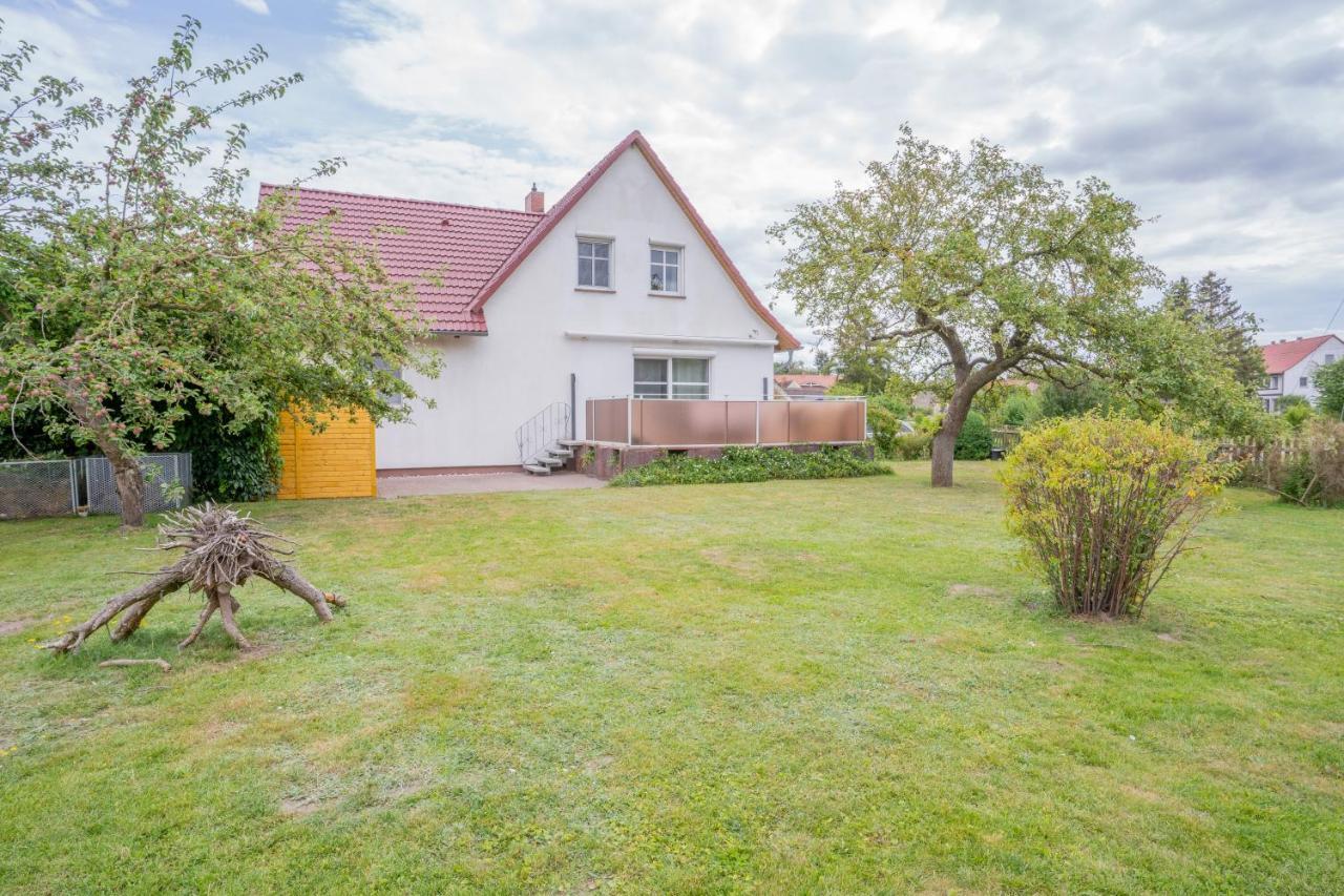 Ferienhaus "Seeadler" In Rankwitz Am Peenestrom Eksteriør billede